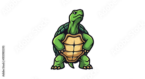 Cartoonish green turtle standing, looking upwards. Detailed illustration with defined shell