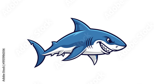 Cartoon illustration of a shark. Features a white belly, blue body, and jagged teeth