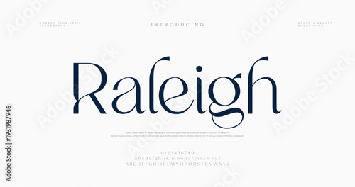 Raleigh City Name in Blue Text