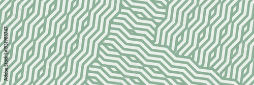 farm green banner, organic abstract background with fields. wavy green lines, natural organic products. vector ilustration