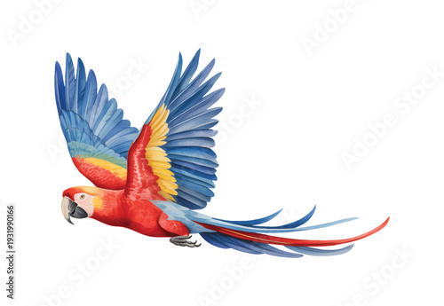 Tropical parrot gliding with vibrant wings in soft watercolor wash. Exotic rain forest parrot with wings extended in natural watercolor.