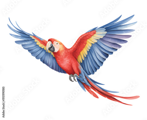 Tropical parrot gliding with vibrant wings in soft watercolor wash. Exotic rain forest parrot with wings extended in natural watercolor.