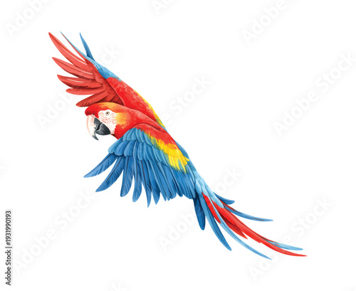 Tropical parrot gliding with vibrant wings in soft watercolor wash. Exotic rain forest parrot with wings extended in natural watercolor.