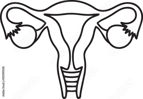 Female Reproductive System Icon - Uterus, Ovaries, and Fallopian Tubes Vector