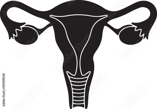 Human Female Reproductive System Vector Icon – Uterus, Fallopian Tubes, and Ovaries Anatomy Illustration
