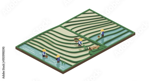 Isometric farmland with farmers tending to rice fields in vibrant green landscape