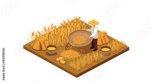 Isometric farming scene with farmer harvesting wheat on agricultural plot