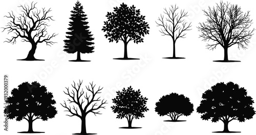 Collection of black tree silhouettes featuring leafy oaks, bare winter branches, pine firs, and forest shrubs isolated on white background for nature landscape design