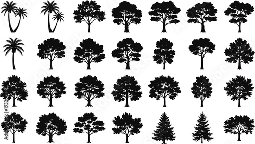 Large set of black tree silhouettes including tropical palms, deciduous oaks, maples, and pine forest icons for landscaping, gardening, nature, and outdoor environment designs