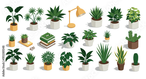 Isometric potted plants collection with home office decor elements