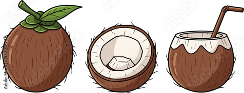 Coconut Whole Half and Fresh Coconut Drink Set with Tropical Fruit Vector Illustration
