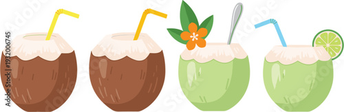 Fresh Coconut Drink Collection with Tropical Green and Brown Coconuts and Straws Vector Illustration