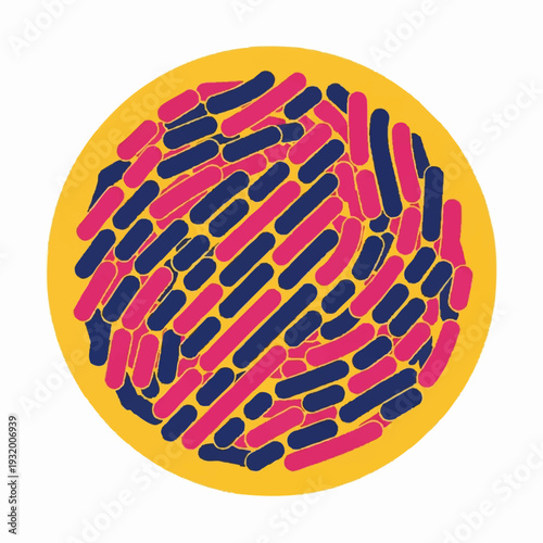 Microscopic View of Bacteria Colony with Pink and Blue Rods.