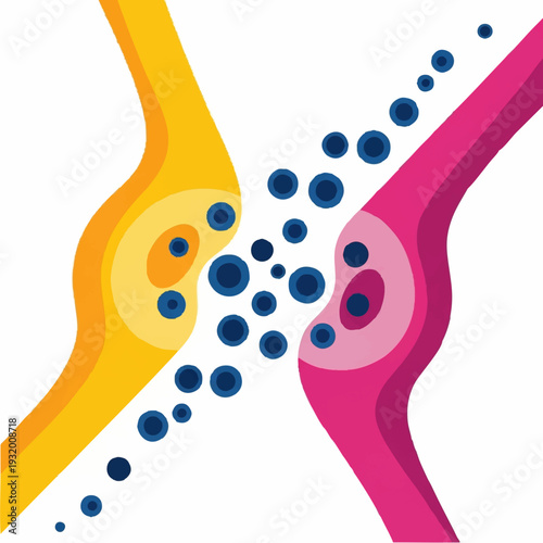Synaptic Transmission Illustration of Neurotransmitter Release.