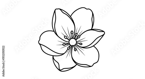 A black and white line drawing of a simple flower with five petals