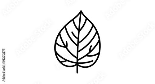 A black and white line drawing of a leaf with defined veins, set against a blank backdrop