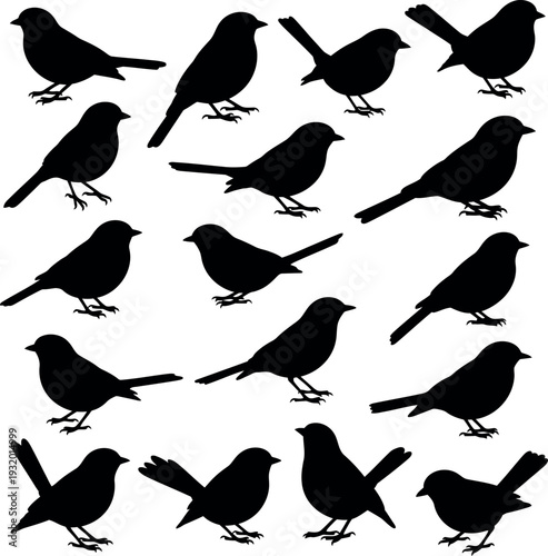 Set of 16 black silhouettes of small birds perched on an invisible branch, ideal for nature designs, education, and wildlife themes.