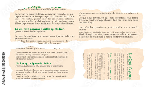 Torn French Newspaper Pieces Isolated on White Background