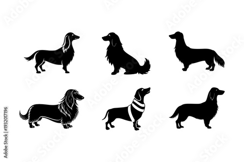 Six black silhouettes of different dog breeds standing