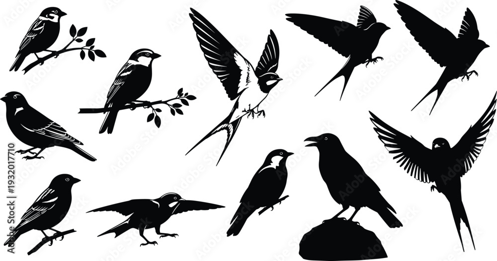 Fototapeta premium Bird silhouettes vector illustration, perched flying swooping standing on branches and rocks, decorative black and white avian artwork design elements