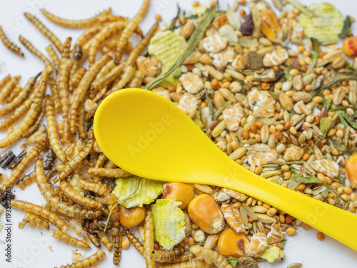Fotografie Close-up of natural pet food ingredients, including mixed seeds and protein-rich