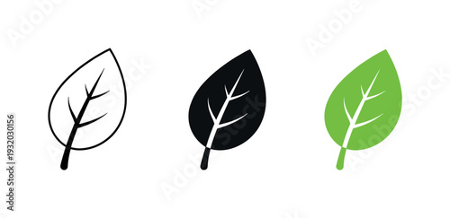 Environmental harmony concept shown as a single leaf with smooth edges and a central vein clearly visible as a natural symbol of