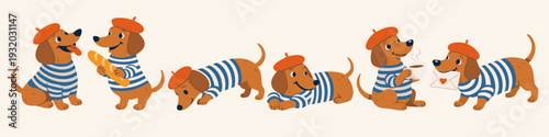 Vector set of cute dachshunds in French red berets and striped vests in various poses