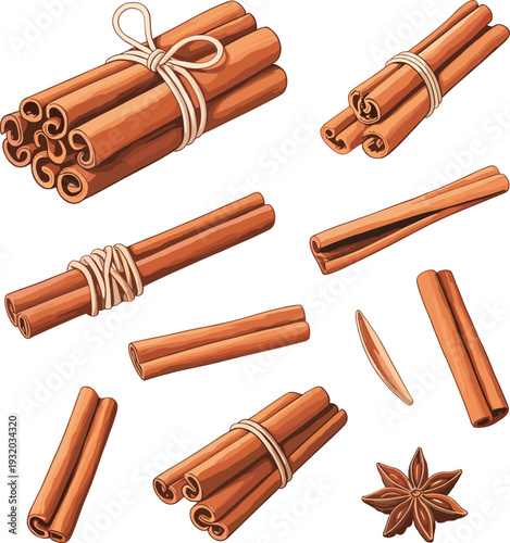 Cinnamon sticks bundles and star anise illustration, hand drawn aromatic spice collection isolated on white background vector