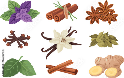 Hand drawn spices and herbs vector illustration set, cinnamon vanilla ginger basil cardamom clove star anise collection