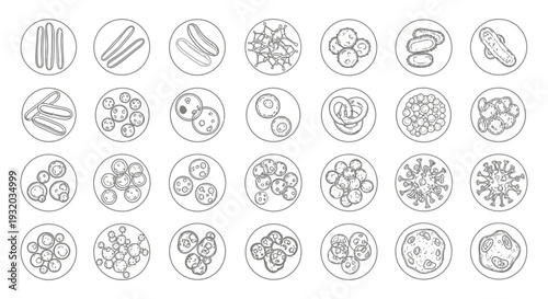 microorganisms collection vector set of diverse bacteria viruses and fungi for scientific and biology education