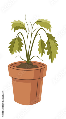 Dying strawberry plant in pot