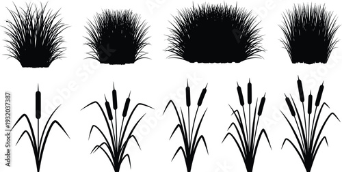 Grass and cattail silhouettes vector illustration, botanical black and white plant icons with clumps and flower spikes, decorative landscape artwork design