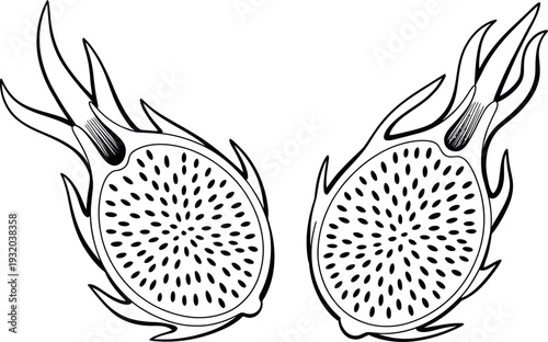 Two halves of a dragon fruit are depicted in a crisp black and white line drawing. The intricate seeds and the unique flame-like skin are detailed for coloring or design purposes.