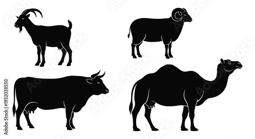 Silhouettes of a goat ,cow, camel and sheep in a graphic composition