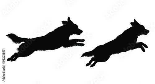 Two black silhouettes of dogs leaping and running in mid air