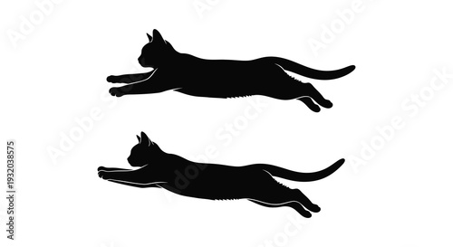 Two black silhouettes of cats leaping and stretching mid air