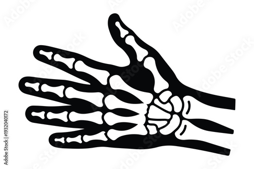 Skeleton hand illustration