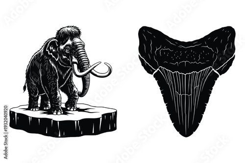 Prehistoric Woolly Mammoth on Ice Floe and Megalodon Tooth Vector