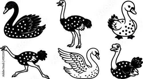 Line art set of six spotted swans and ostrich silhouettes in varied poses swimming running and resting black and white