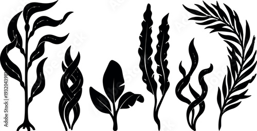 Flat design silhouette kelp and seaweed set close up isolated vector leaves arranged in horizontal composition high contrast black decorative