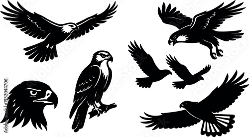 Flat design hawk and eagle silhouette vector set multiple poses flying perched close up low angle bold black graphic emblem