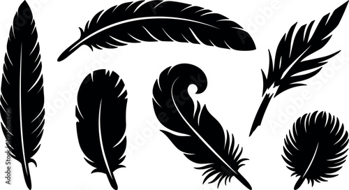 Flat design feather silhouette set with varied plume shapes quill icons isolated on white background in black vector art minimalist