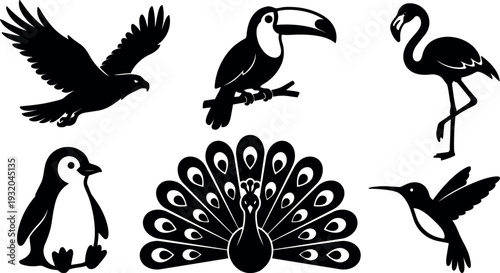 Silhouette vector bird icon set showing peacock spread wings penguin hummingbird eagle toucan flamingo in flat black style detailed minimal