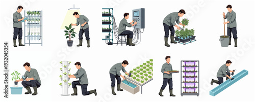 Detailed Flat Illustration Showing a Man Engaged in Hydroponic Gardening Practices