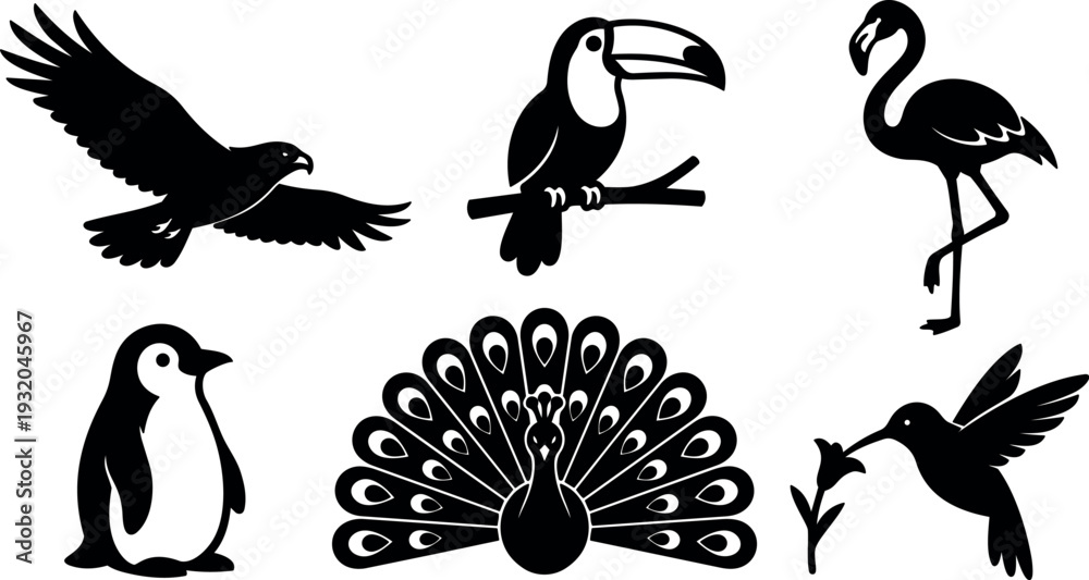 Fototapeta premium Flat vector silhouette of six birds with flying eagle perched toucan standing flamingo penguin peacock spreading tail and hummingbird feeding