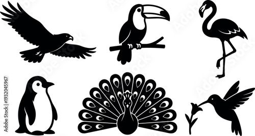 Flat vector silhouette of six birds with flying eagle perched toucan standing flamingo penguin peacock spreading tail and hummingbird feeding