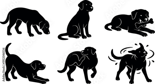 Minimal silhouette vector set of six black labrador puppy poses showing sniffing sitting chewing bone and playful motions resting scratching