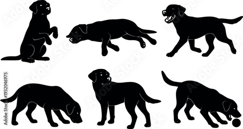 Silhouette vector set of black labrador retriever poses sitting running walking sniffing fetching playing low angle side view front profile
