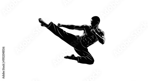 silhouette of a person performing a martial arts kick