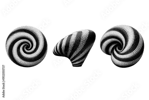 Abstract spiral swirl surface with expanding dot density bands shown from front view, side view, and three-quarter view as a single object set with realistic